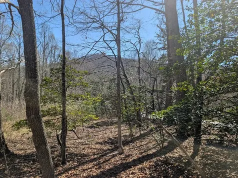Lot 108 Smokerise Drive Hayesville NC 28904