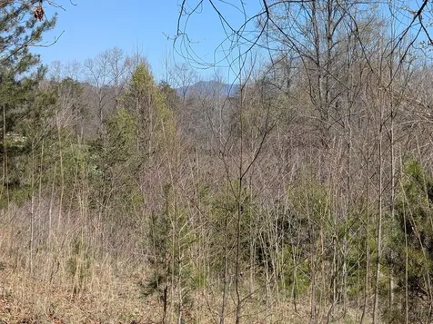 Lot 108 Smokerise Drive Hayesville NC 28904