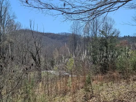 Lot 108 Smokerise Drive Hayesville NC 28904