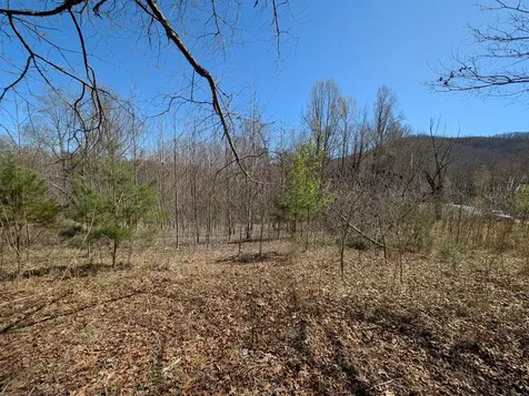 Lot 108 Smokerise Drive Hayesville NC 28904