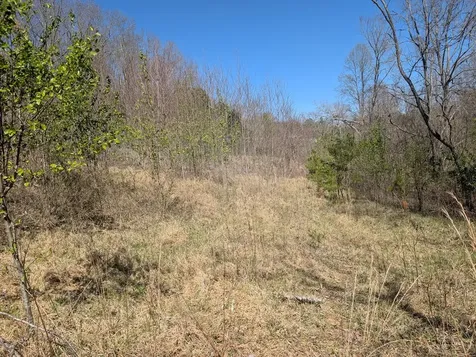 Lot 108 Smokerise Drive Hayesville NC 28904