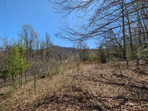 Lot 108 Smokerise Drive Hayesville NC 28904