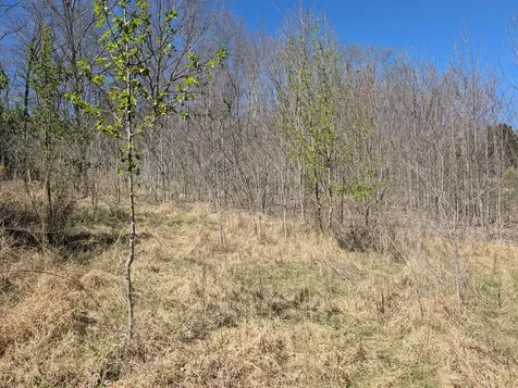 Lot 108 Smokerise Drive Hayesville NC 28904