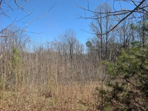 Lot 108 Smokerise Drive Hayesville NC 28904