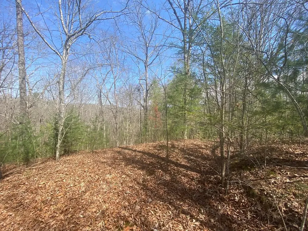 0 Hilltop Road Murphy NC 28906