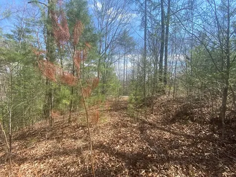 0 Hilltop Road Murphy NC 28906
