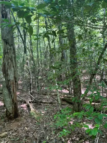 Lot 6&7 Donley Road Murphy NC 28906