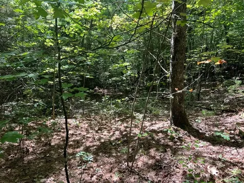 Lot 6&7 Donley Road Murphy NC 28906