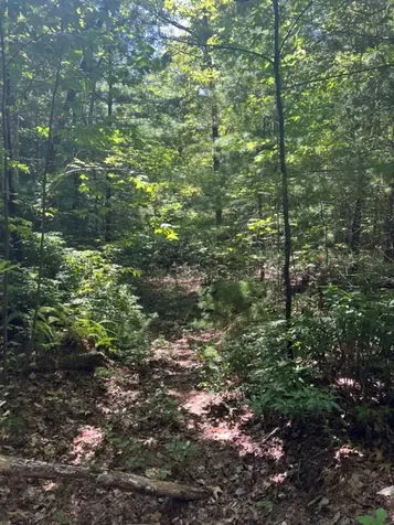 Lot 6&7 Donley Road Murphy NC 28906