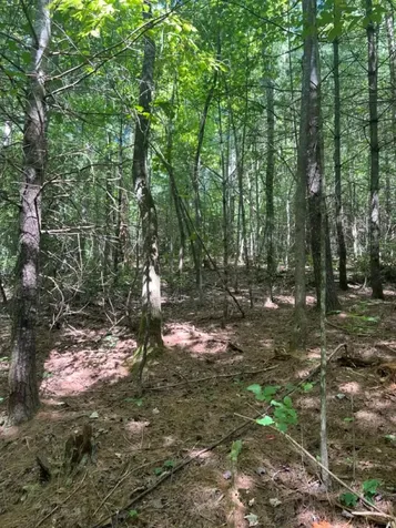 Lot 6&7 Donley Road Murphy NC 28906