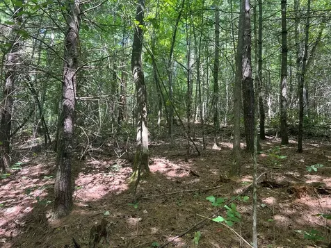 Lot 6&7 Donley Road Murphy NC 28906