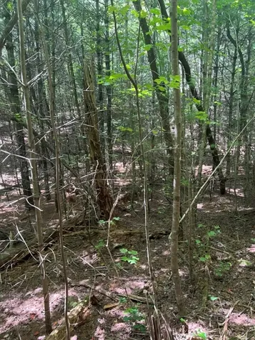 Lot 6&7 Donley Road Murphy NC 28906