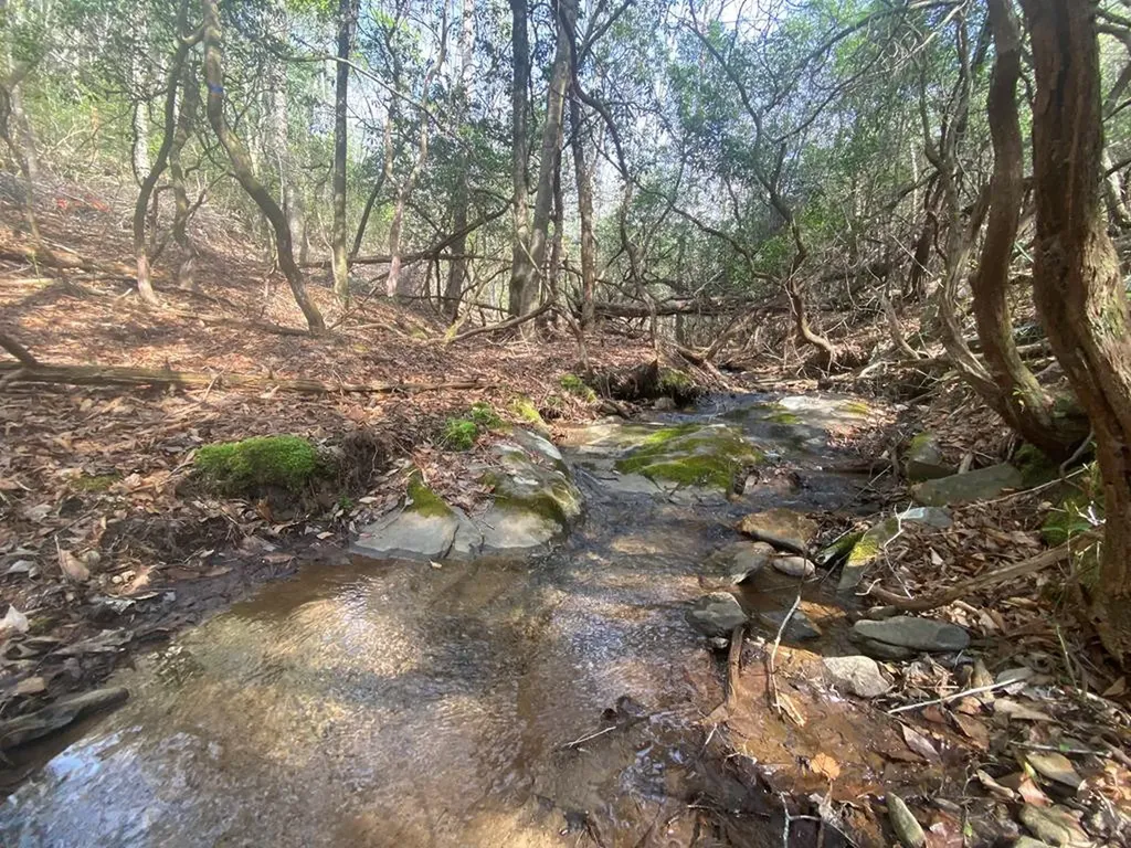 11 Ludlum Drive Hayesville NC 28904
