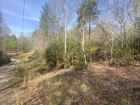 11 Ludlum Drive Hayesville NC 28904