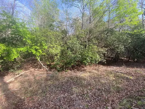 11 Ludlum Drive Hayesville NC 28904