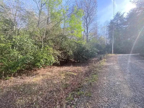 11 Ludlum Drive Hayesville NC 28904