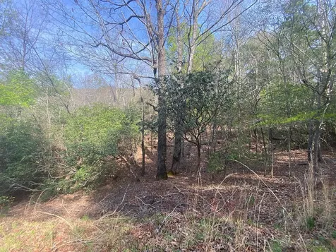 11 Ludlum Drive Hayesville NC 28904