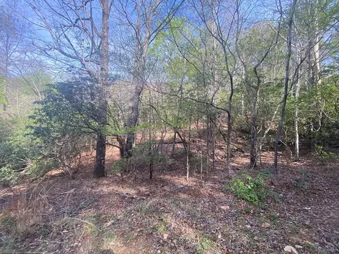 11 Ludlum Drive Hayesville NC 28904