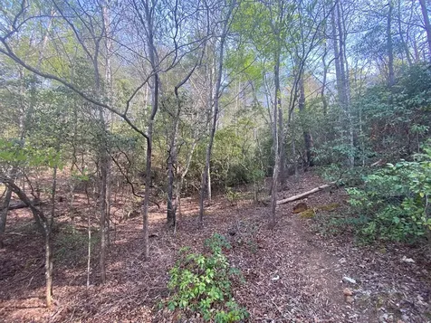 11 Ludlum Drive Hayesville NC 28904