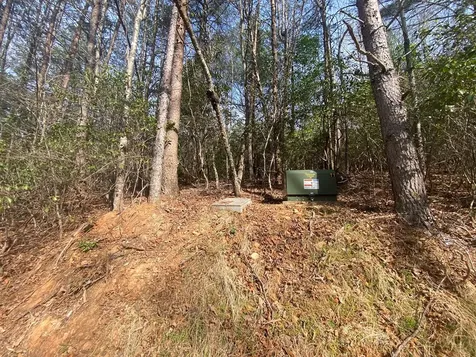 11 Ludlum Drive Hayesville NC 28904