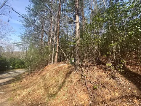 11 Ludlum Drive Hayesville NC 28904