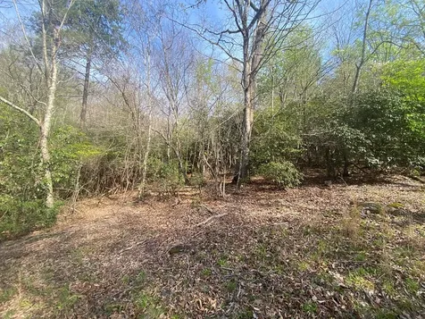 11 Ludlum Drive Hayesville NC 28904