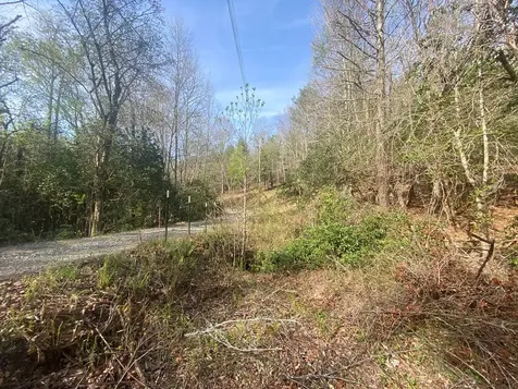 11 Ludlum Drive Hayesville NC 28904