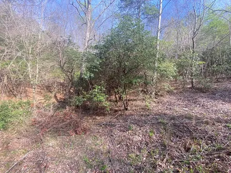 11 Ludlum Drive Hayesville NC 28904