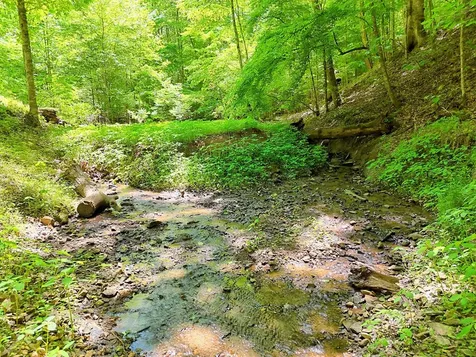 1127 Burch Branch Road Hiawassee GA 30546