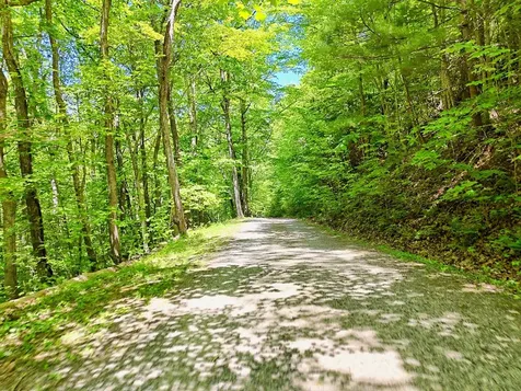 1127 Burch Branch Road Hiawassee GA 30546
