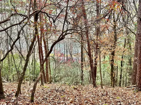 289 Paradise Murphy NC 28906