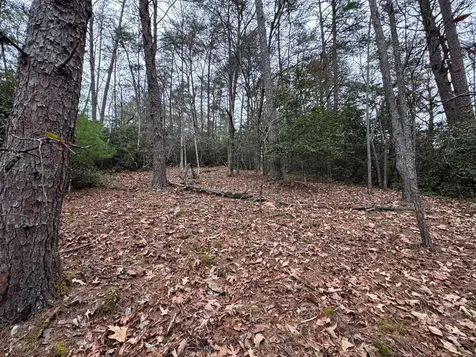 289 Paradise Murphy NC 28906