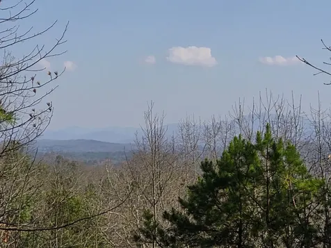 88 Meadowlark Terrace Murphy NC 28906