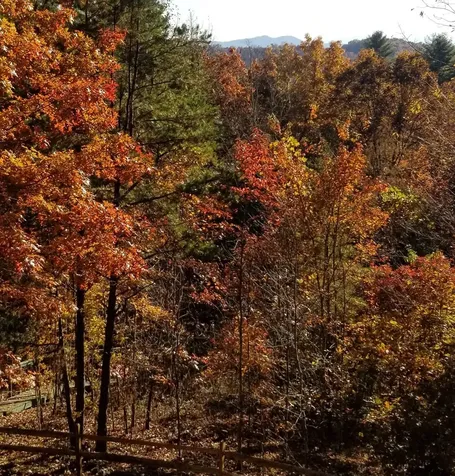 88 Meadowlark Terrace Murphy NC 28906