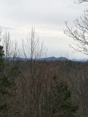 88 Meadowlark Terrace Murphy NC 28906