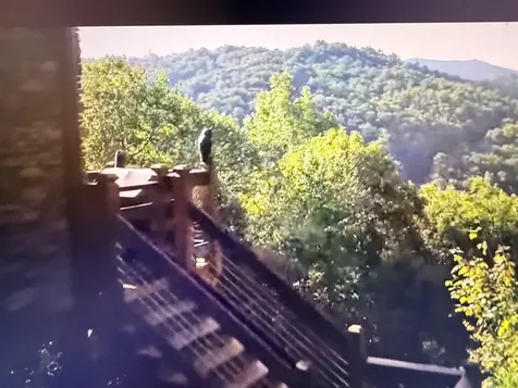 359 Whispering Wind Trail Topton NC 28781
