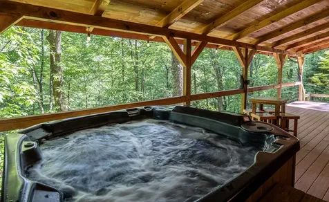 94 Bear Creek Cove Topton NC 28781