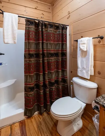 94 Bear Creek Cove Topton NC 28781