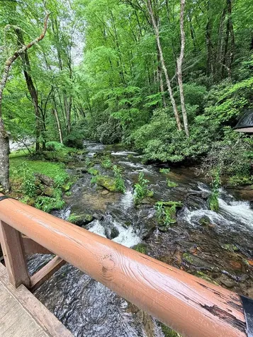 94 Bear Creek Cove Topton NC 28781