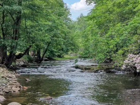 515 Barlow Fields Drive Hayesville NC 28904