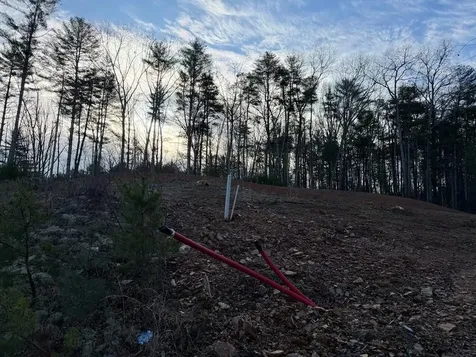 17.76 Ac Greasy Creek Road Murphy NC 28906