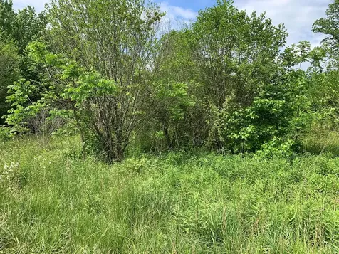 17.76 Ac Greasy Creek Road Murphy NC 28906