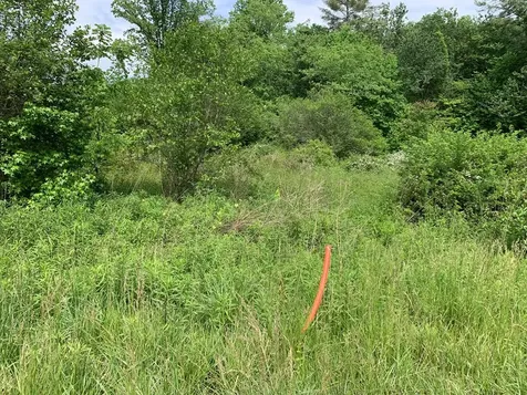 17.76 Ac Greasy Creek Road Murphy NC 28906