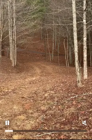 16 Merlin Trail Murphy NC 28906