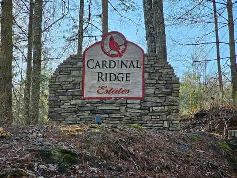 16 Merlin Trail Murphy NC 28906