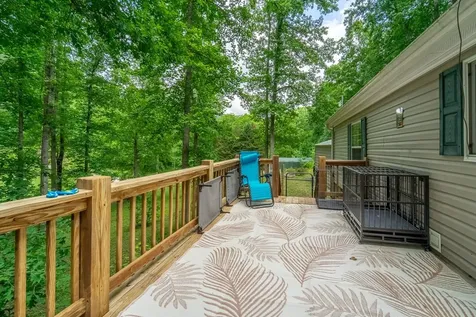 224 Cochrans Creek Robbinsville NC 28771