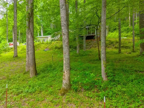 224 Cochrans Creek Robbinsville NC 28771