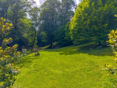 224 Cochrans Creek Robbinsville NC 28771
