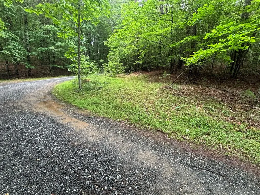 Lot 3 Horse Camp Drive Hayesville NC 28904