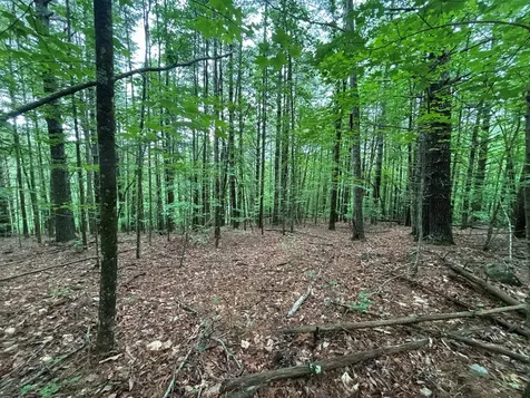 Lot 3 Horse Camp Drive Hayesville NC 28904